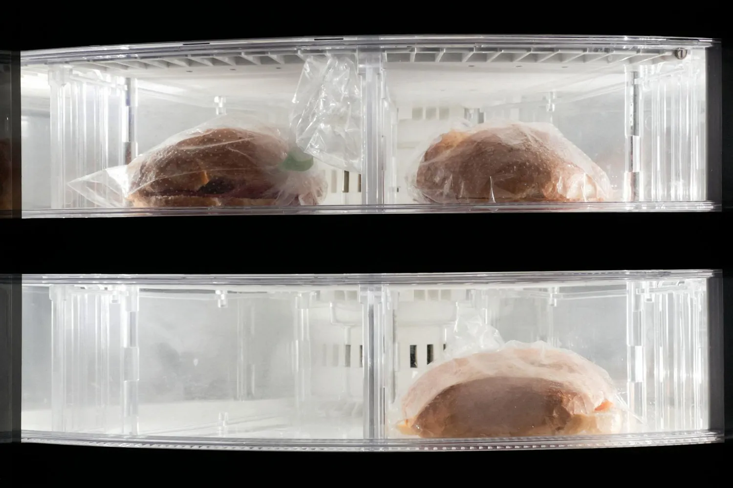 Key Considerations in Freezing vs. Refrigerating Your Meal Prep